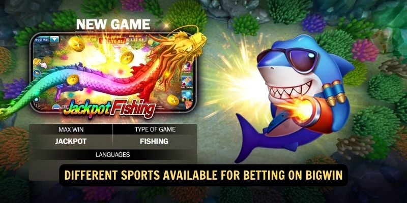 Different Sports Available for Betting on Bigwin