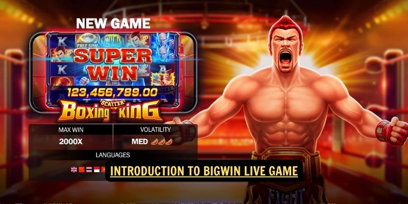 Introduction to Big win Live Game