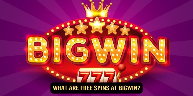 What are Free Spins at Bigwin 2